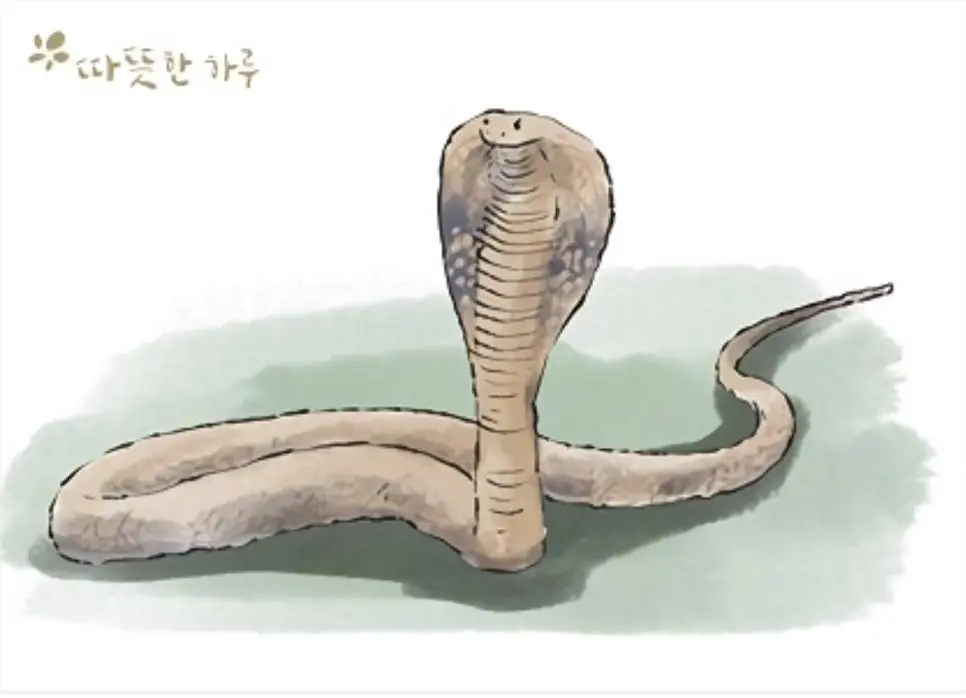 [정보] 	        코브라 효과 (Cobra effect)