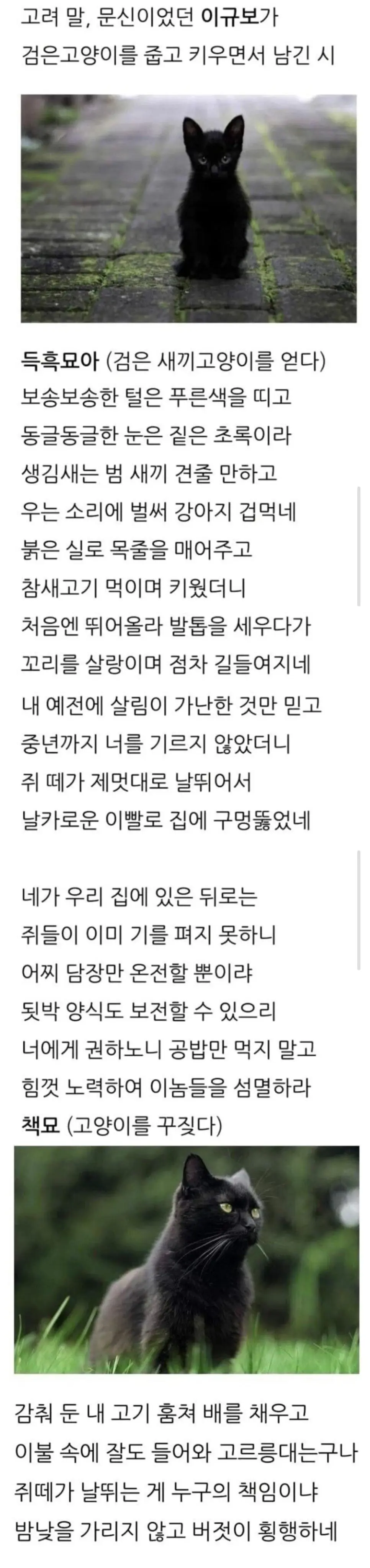 고려시대 냥줍