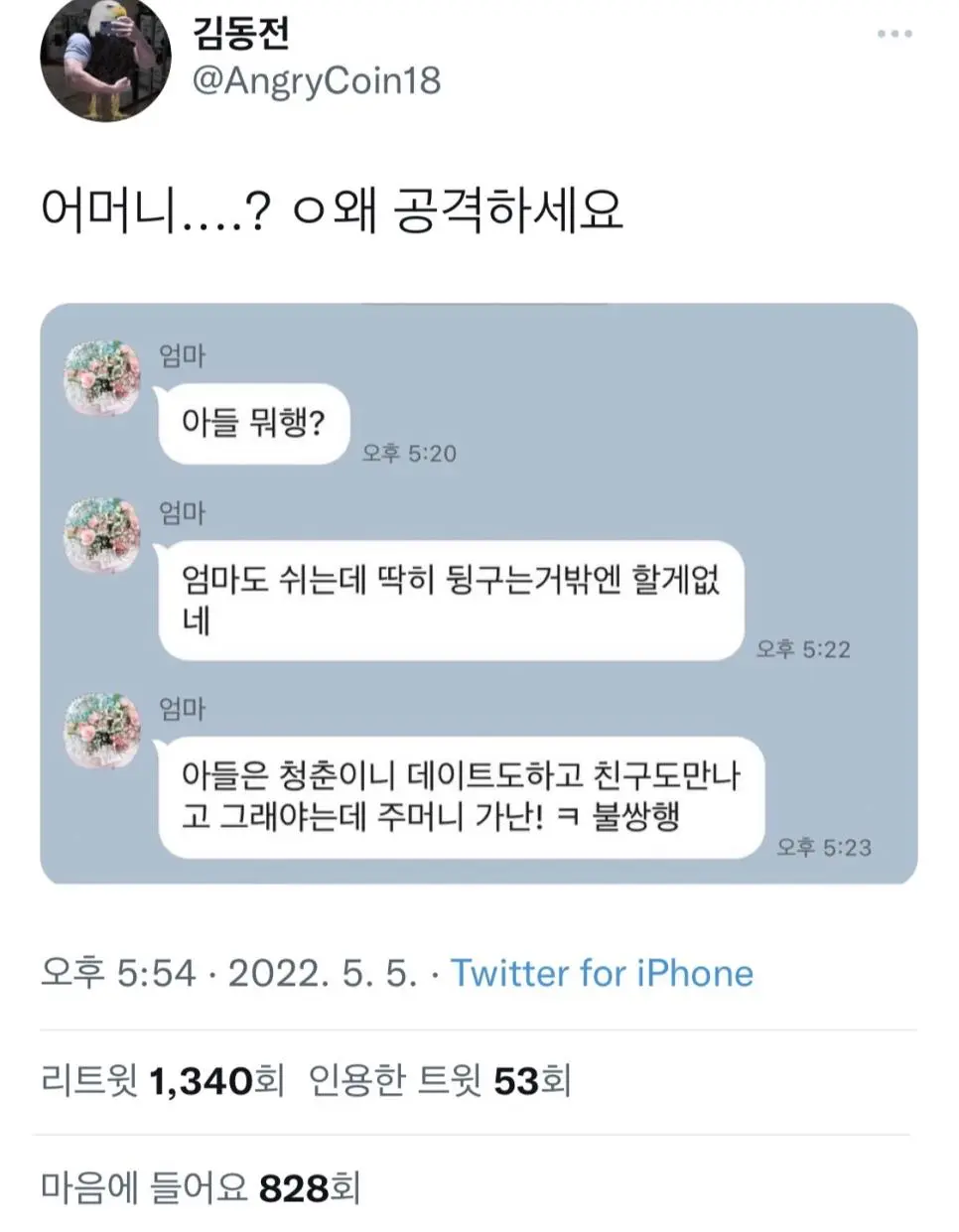 일반공격이 전체공격에 2회 공격인 어머니