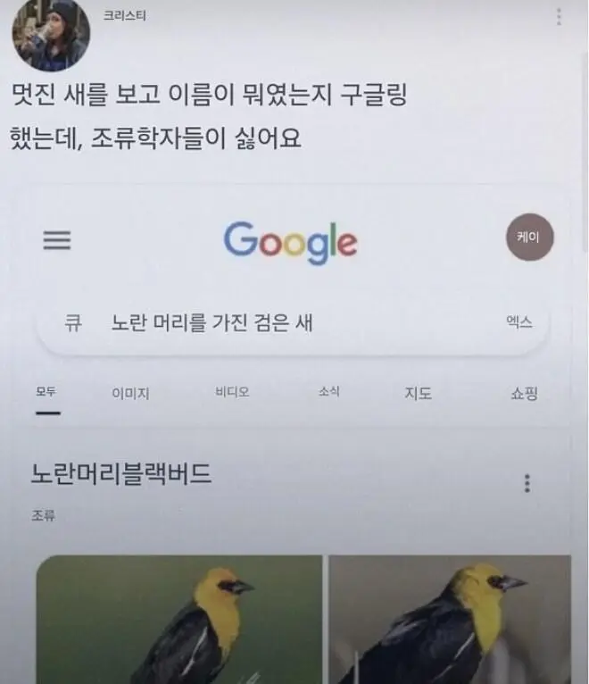 조류학자들의 작명 실력.jpg