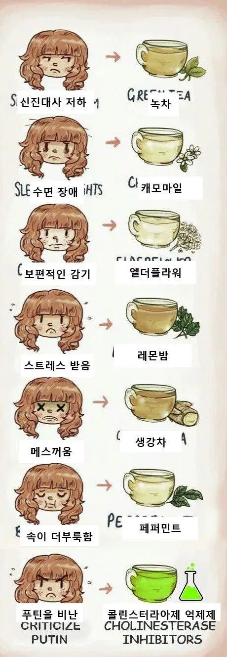 러시아에서 몸 상태에 따라 마시는 차 종류