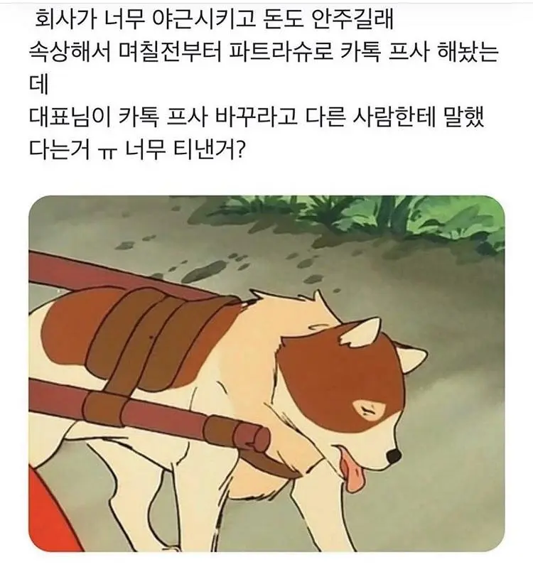 어느 중소기업 직원의 카톡프사